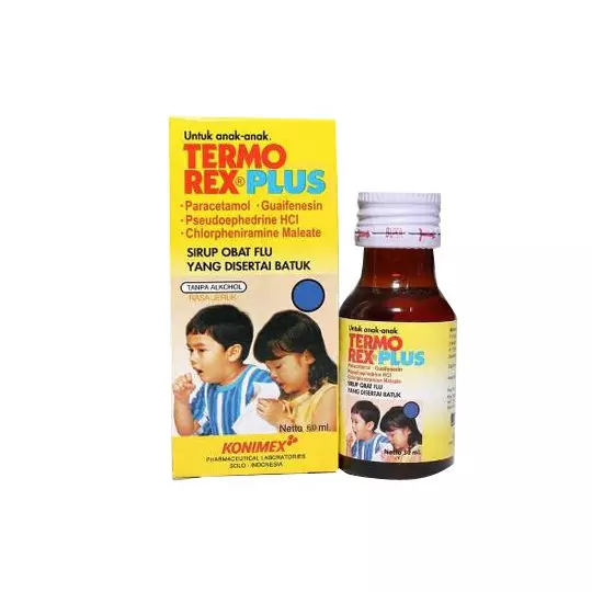 TERMOREX PLUS SIRUP 60 ML TERMOREX PLUS SIRUP 60 ML