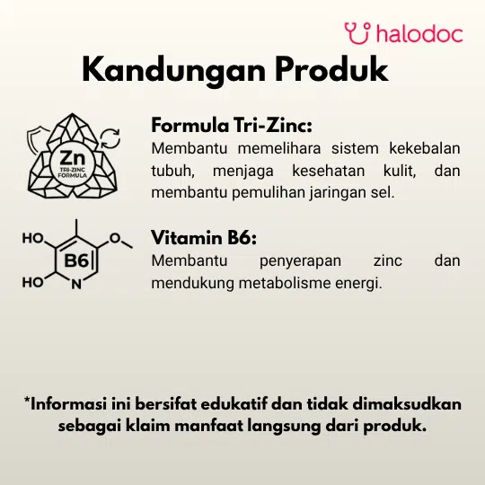 Wellness Zinc With Vitamin B6 60 tablet - Gambar 2