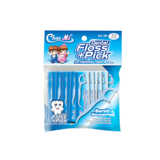 CHAR MI DENTAL FLOSS & PICK ART 187 20 PIECES CHAR MI DENTAL FLOSS & PICK ART 187 20 PIECES