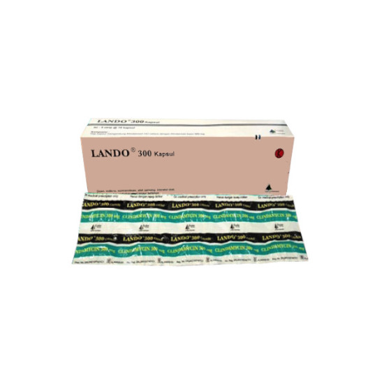 LANDO 300 MG 10 KAPSUL LANDO 300 MG 10 KAPSUL