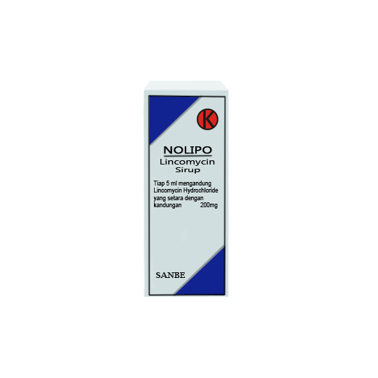 Nolipo 250 mg/5 ml Sirup 60 ml Nolipo 250 mg/5 ml Sirup 60 ml