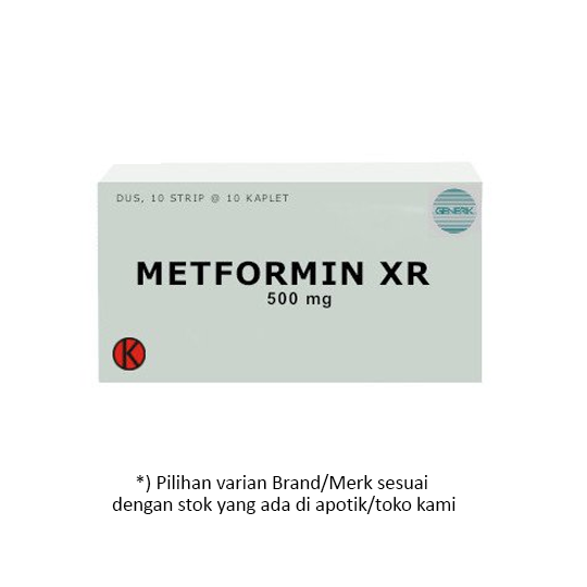 Metformin XR (Extended Release) 500 mg 10 Strip (10 Tablet/Strip