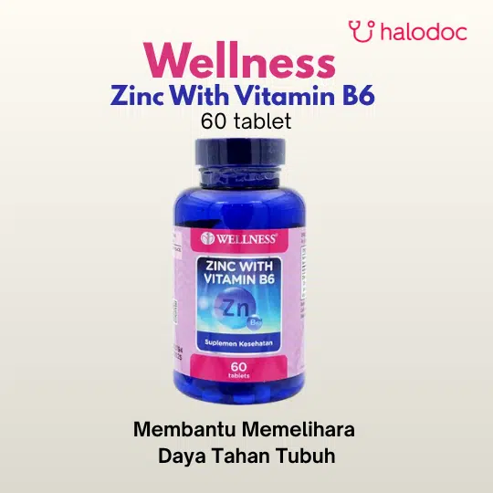 Wellness Zinc With Vitamin B6 60 tablet - Gambar 1