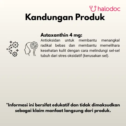 Asthin Force 4 mg 10 Kapsul - Gambar 2