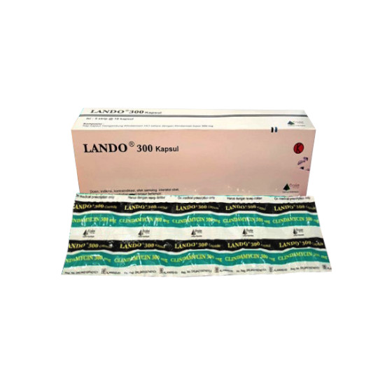 LANDO 300 MG 10 KAPSUL LANDO 300 MG 10 KAPSUL