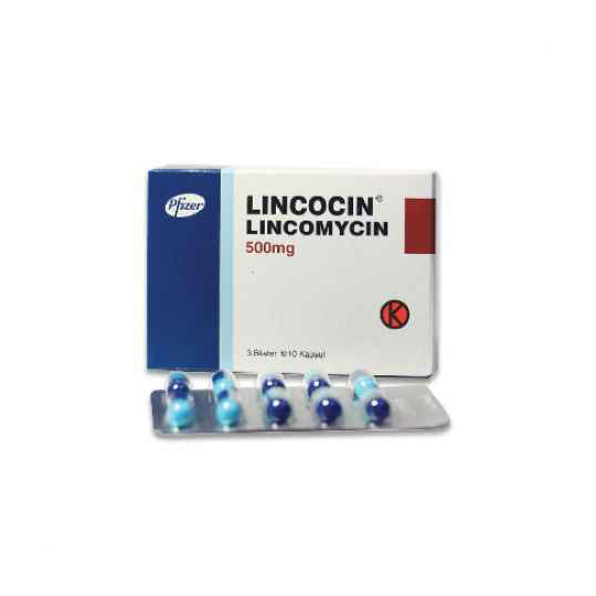 LINCOCIN 500 MG 10 KAPSUL LINCOCIN 500 MG 10 KAPSUL