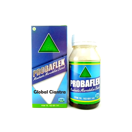 Probaflek Sirup 175 g Probaflek Sirup 175 g