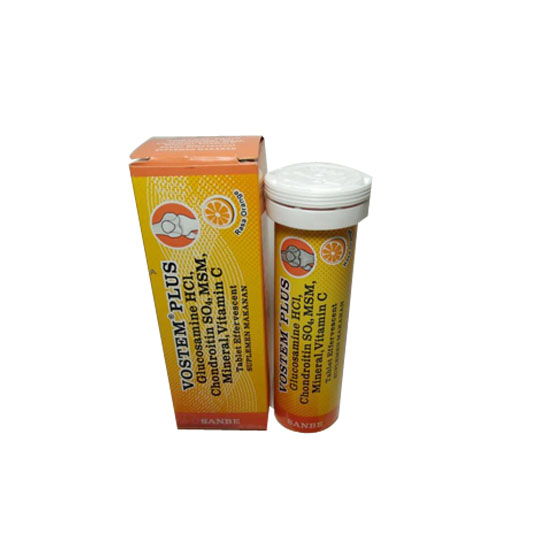 VOSTEM PLUS 10 EFFERVESCENT VOSTEM PLUS 10 EFFERVESCENT