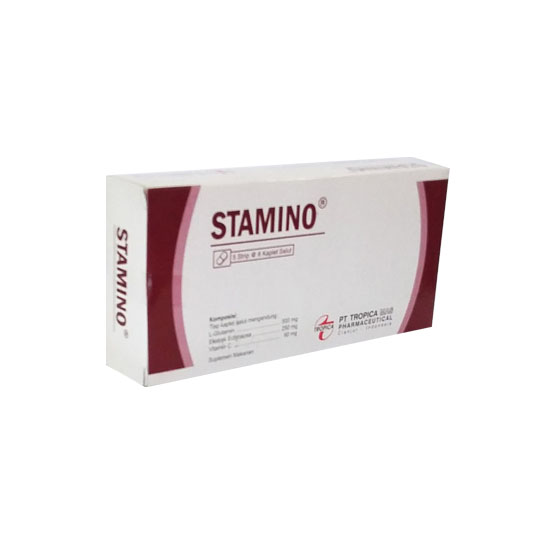 STAMINO 6 KAPLET STAMINO 6 KAPLET